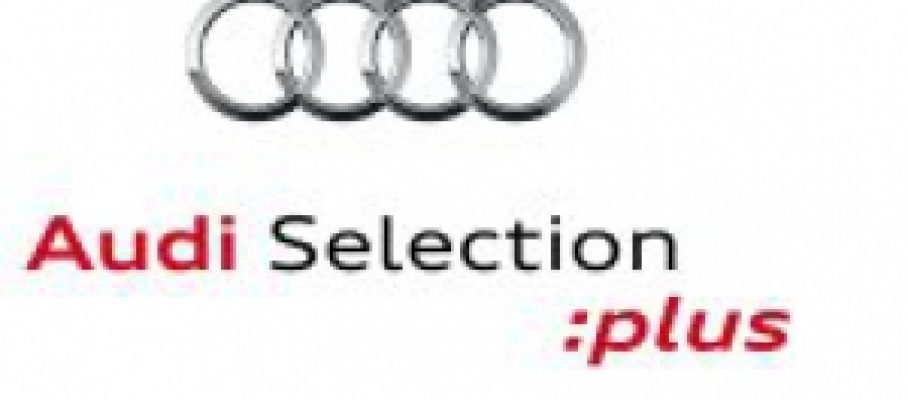 Audi Selection Plus - Foto: www.micoche.com